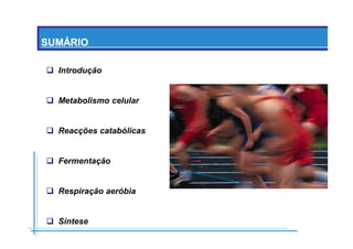 B 3.ObtençãO De Energia Unidade 3