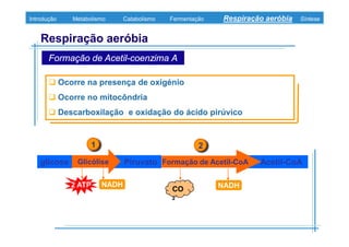 B 3.ObtençãO De Energia Unidade 3
