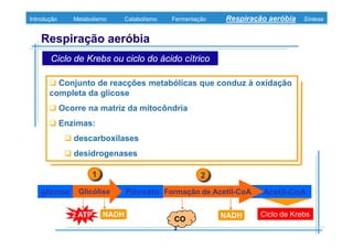 B 3.ObtençãO De Energia Unidade 3