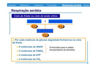 B 3.ObtençãO De Energia Unidade 3