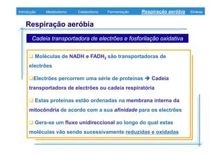 B 3.ObtençãO De Energia Unidade 3
