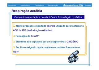 B 3.ObtençãO De Energia Unidade 3