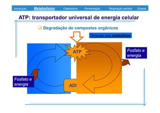 B 3.ObtençãO De Energia Unidade 3