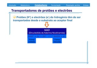 B 3.ObtençãO De Energia Unidade 3