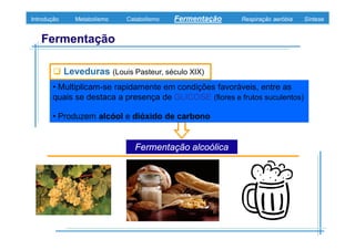 B 3.ObtençãO De Energia Unidade 3