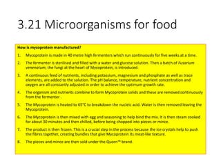 Mycoprotein Process B3 revision powerpoint | PPTX