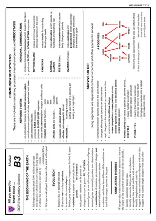 B3 summary sheet | PDF