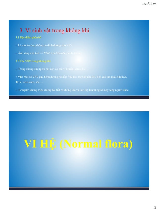 B3 VI SINH VAT TRONG TU NHIEN VA NGUOI.pdf