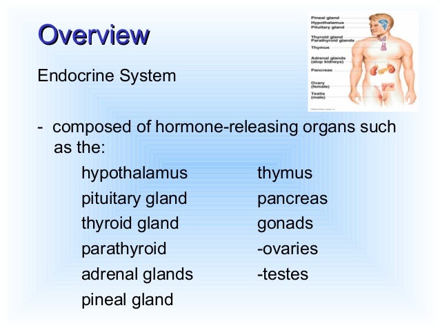 Endocrine Drugs
