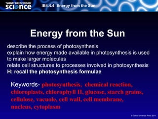 IB4.4.4 Energy from the Sun




          Energy from the Sun
describe the process of photosynthesis
explain how energy made available in photosynthesis is used
to make larger molecules
relate cell structures to processes involved in photosynthesis
H: recall the photosynthesis formulae

 Keywords- photosynthesis, chemical reaction,
 chloroplasts, chlorophyll II, glucose, starch grains,
 cellulose, vacuole, cell wall, cell membrane,
 nucleus, cytoplasm
                                                     © Oxford University Press 2011
 