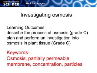 IB4.6.2H Images




      Investigating osmosis

Learning Outcomes:
describe the process of osmosis (grade C)
plan and perform an investigation into
osmosis in plant tissue (Grade C)

Keywords-
Osmosis, partially permeable
membrane, concentration, particles
                                     © Oxford University Press 2011
 