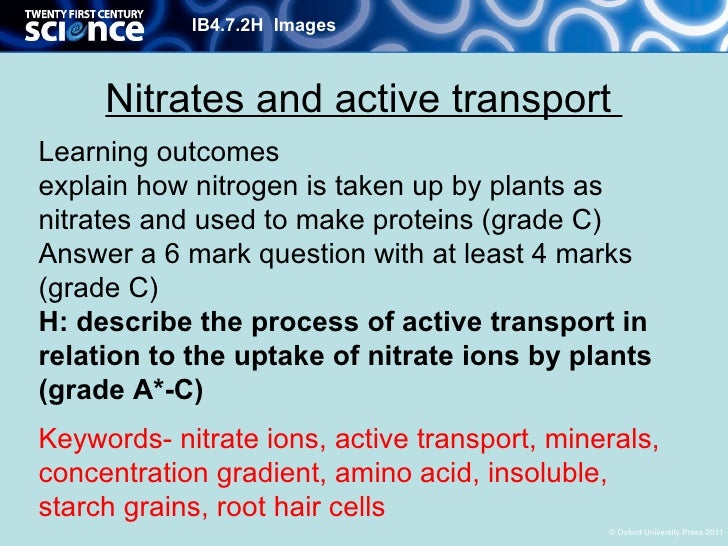 B4 07 Nitrates And Active Transport