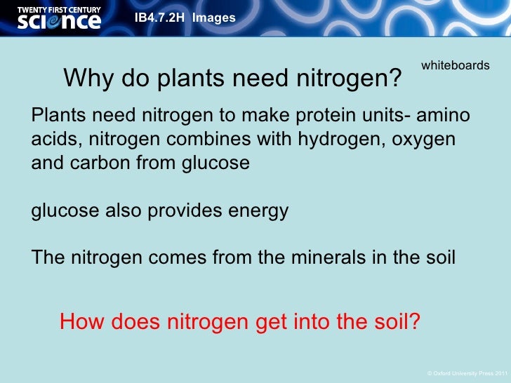 B4 07nitrates and active transport