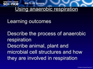 IB4.12.2H Images

   Using anaerobic respiration

Learning outcomes

Describe the process of anaerobic
respiration
Describe animal, plant and
microbial cell structures and how
they are involved in respiration
                             © Oxford University Press 2011
 
