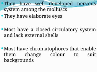 Comprehensive Overview of Pseudocoelomates and Mollusca Phylum | PPTX