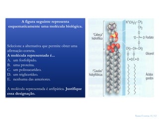 Nuno Correia 11/12
10
A figura seguinte representa
esquematicamente uma molécula biológica.
Selecione a alternativa que permite obter uma
afirmação correta.
A molécula representada é...
A. um fosfolípido.
B. uma proteína.
C. um polissacarídeo.
D. um triglicerídeo.
E. nenhuma das anteriores.
A molécula representada é anfipática. Justifique
essa designação.
 
