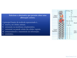 Nuno Correia 11/12
11
Selecione a alternativa que permite obter uma
afirmação correta.
A principal função da molécula representada é...
A. reserva, em células animais.
B. estrutural, na membrana citoplasmática.
C. estrutural, na parede celular das células vegetais.
D. armazenamento e transmissão de informação.
E. enzimática.
 