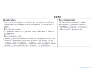Nuno Correia 11/12
13
 