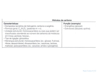 Nuno Correia 11/12
16
 