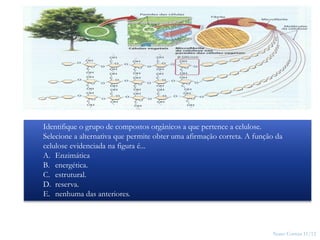 Nuno Correia 11/12
19
Identifique o grupo de compostos orgânicos a que pertence a celulose.
Selecione a alternativa que permite obter uma afirmação correta. A função da
celulose evidenciada na figura é...
A. Enzimática
B. energética.
C. estrutural.
D. reserva.
E. nenhuma das anteriores.
 