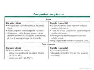 Nuno Correia 11/12
2
 