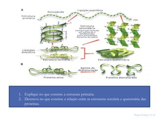 Nuno Correia 11/12
22
1. Explique no que consiste a estrutura primária.
2. Descreva no que consiste a relação entre as estruturas terciária e quaternária das
proteínas.
 