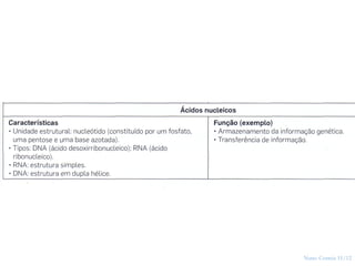 Nuno Correia 11/12
28
 