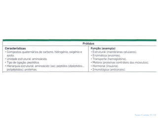 Nuno Correia 11/12
7
 