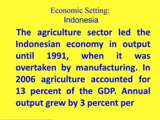 Economic Setting:
Indonesia
The agriculture sector led the
Indonesian economy in output
until 1991, when it was
overtaken by manufacturing. In
2006 agriculture accounted for
13 percent of the GDP. Annual
output grew by 3 percent per
 
