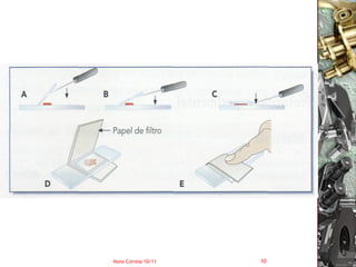Nuno Correia 10/11   10
 