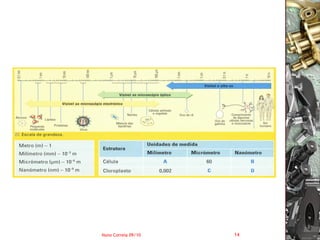 Nuno Correia 09/10   14
 