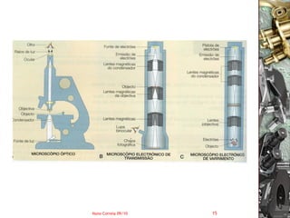 Nuno Correia 09/10   15
 