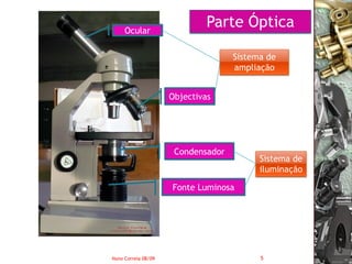 Ocular
                              Parte Óptica

                                    Sistema de
                                    ampliação


                     Objectivas




                      Condensador
                                          Sistema de
                                          iluminação

                     Fonte Luminosa




Nuno Correia 08/09                        5
 