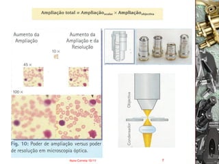 Nuno Correia 10/11   7
 
