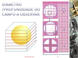 Nuno Correia 10/11   8
 