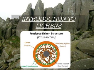 INTRODUCTION TO
    LICHENS
 