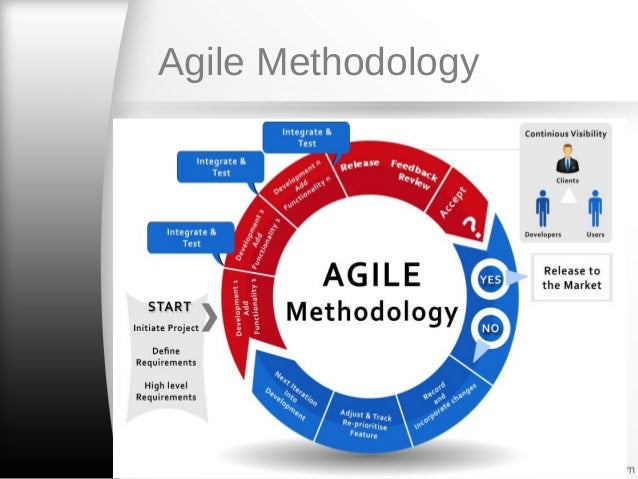Projectize eGlobal Delivery Model AGILE