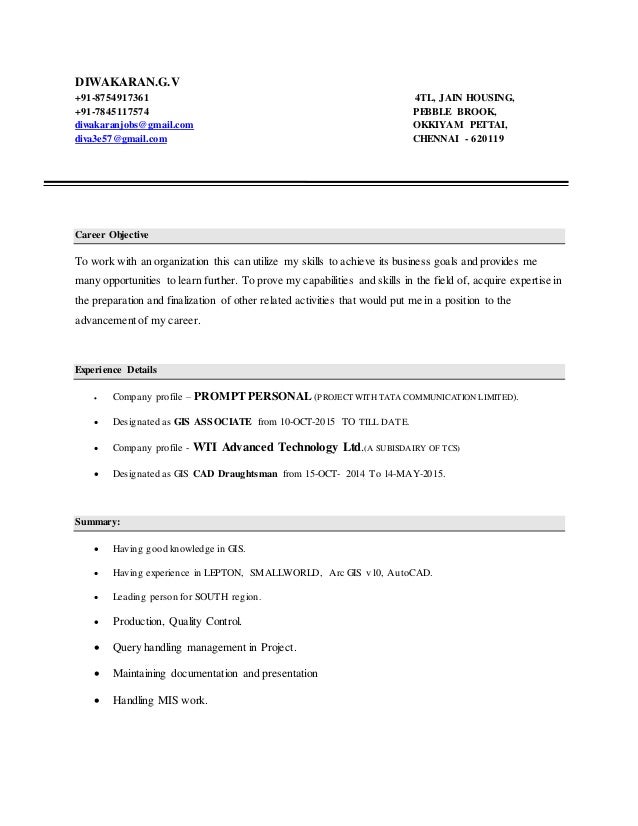 gis resume