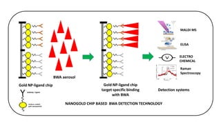 MALDI MS
ELISA
ELECTRO
CHEMICAL
Raman
Spectroscopy
Gold NP-ligand chip
BWA aerosol
Gold NP-ligand chip
target specific binding
with BWA
Detection systems
NANOGOLD CHIP BASED BWA DETECTION TECHNOLOGY
 