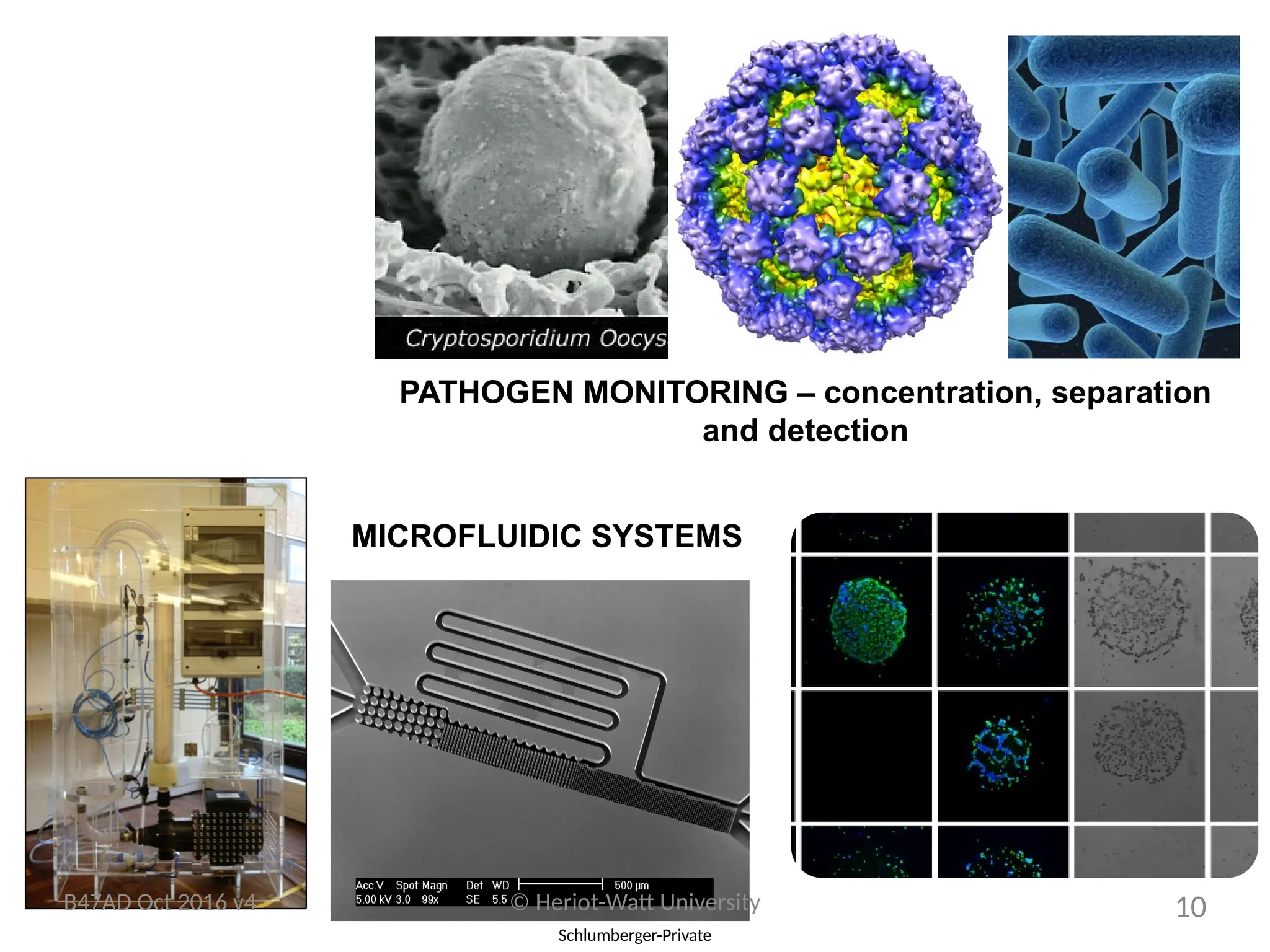 Schlumberger-Private
PATHOGEN MONITORING – concentration, separation
and detection
MICROFLUIDIC SYSTEMS
B47AD Oct 2016 v4 © Heriot-Watt University 10
 