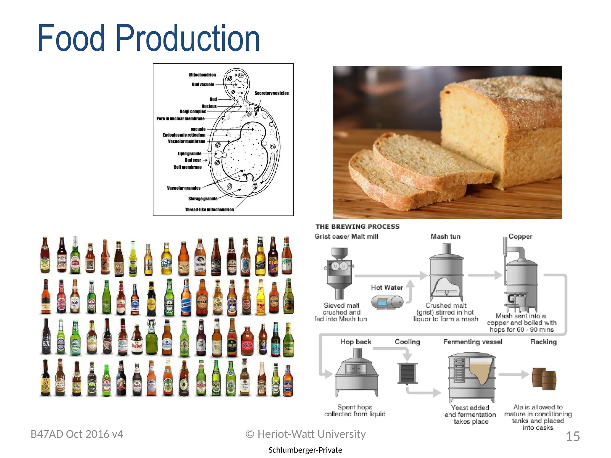 Schlumberger-Private
Food Production
B47AD Oct 2016 v4 © Heriot-Watt University 15
 