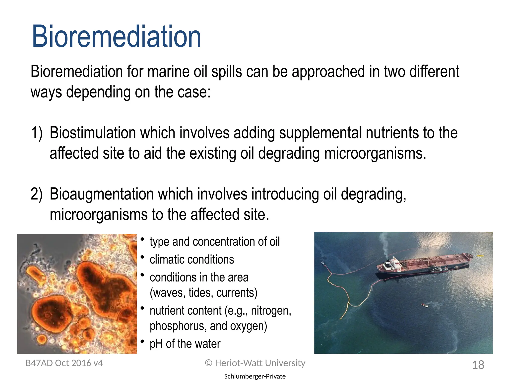 Schlumberger-Private
Bioremediation for marine oil spills can be approached in two different
ways depending on the case:
1) Biostimulation which involves adding supplemental nutrients to the
affected site to aid the existing oil degrading microorganisms.
2) Bioaugmentation which involves introducing oil degrading,
microorganisms to the affected site.
• type and concentration of oil
• climatic conditions
• conditions in the area
(waves, tides, currents)
• nutrient content (e.g., nitrogen,
phosphorus, and oxygen)
• pH of the water
Bioremediation
B47AD Oct 2016 v4 © Heriot-Watt University 18
 
