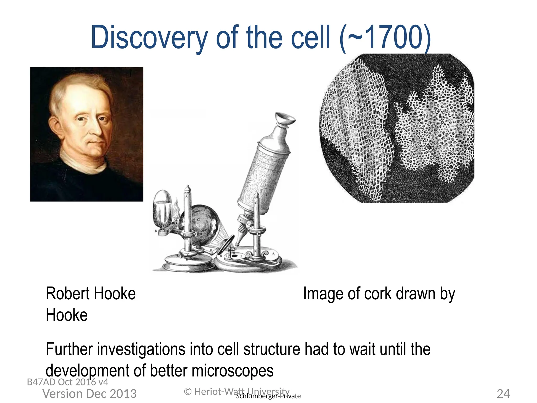 Schlumberger-Private
© Heriot-Watt University 24
Version Dec 2013
Discovery of the cell (~1700)
Robert Hooke Image of cork drawn by
Hooke
Further investigations into cell structure had to wait until the
development of better microscopes
B47AD Oct 2016 v4
 