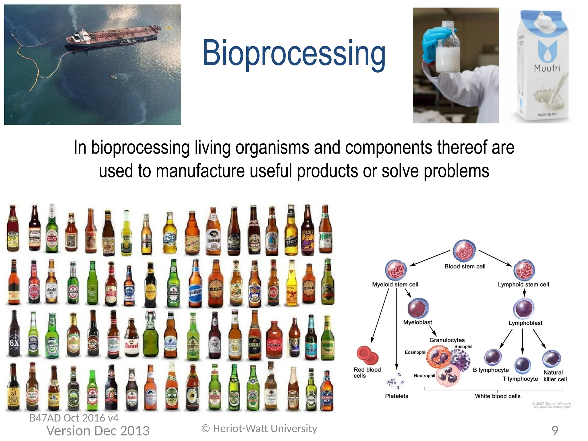 In bioprocessing living organisms and components thereof are
used to manufacture useful products or solve problems
Bioprocessing
© Heriot-Watt University 9
Version Dec 2013
B47AD Oct 2016 v4
 