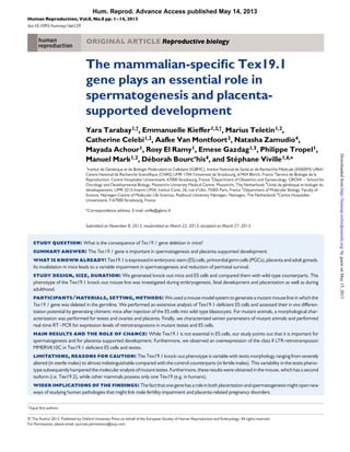 ORIGINAL ARTICLE Reproductive biology
The mammalian-speciﬁc Tex19.1
gene plays an essential role in
spermatogenesis and placenta-
supported development
Yara Tarabay1,†
, Emmanuelle Kieffer1,2,†
, Marius Teletin1,2,
Catherine Celebi1,2, Aafke Van Montfoort3, Natasha Zamudio4,
Mayada Achour1, Rosy El Ramy1, Emese Gazdag1,5, Philippe Tropel1,
Manuel Mark1,2, De´borah Bourc’his4, and Ste´phane Viville1,6,*
1
Institut de Ge´ne´tique et de Biologie Mole´culaire et Cellulaire (IGBMC), Institut National de Sante´ et de Recherche Me´dicale (INSERM) U964/
Centre National de Recherche Scientiﬁque (CNRS) UMR 1704/Universite´ de Strasbourg, 67404 Illkirch, France 2
Service de Biologie de la
Reproduction, Centre Hospitalier Universitaire, 67000 Strasbourg, France 3
Department of Obstetrics and Gynaecology, GROW – School for
Oncology and Developmental Biology, Maastricht University Medical Centre, Maastricht, The Netherlands 4
Unite´ de ge´ne´tique et biologie du
de´veloppement, UMR 3215-Inserm U934, Institut Curie, 26, rue d’Ulm, 75005 Paris, France 5
Department of Molecular Biology, Faculty of
Science, Nijmegen Centre of Molecular Life Sciences, Radboud University Nijmegen, Nijmegen, The Netherlands 6
Centre Hospitalier
Universitaire, F-67000 Strasbourg, France
*Correspondence address. E-mail: viville@igbmc.fr
Submitted on November 8, 2012; resubmitted on March 22, 2013; accepted on March 27, 2013
study question: What is the consequence of Tex19.1 gene deletion in mice?
summary answer: The Tex19.1 gene is important in spermatogenesis and placenta-supported development.
what is known already: Tex19.1is expressed in embryonic stem(ES) cells, primordial germ cells (PGCs), placenta and adult gonads.
Its invalidation in mice leads to a variable impairment in spermatogenesis and reduction of perinatal survival.
study design, size, duration: We generated knock-out mice and ES cells and compared them with wild-type counterparts. The
phenotype of the Tex19.1 knock-out mouse line was investigated during embryogenesis, fetal development and placentation as well as during
adulthood.
participants/materials, setting, methods: We used a mouse model system to generate a mutant mouse line in which the
Tex19.1 gene was deleted in the germline. We performed an extensive analysis of Tex19.1-deﬁcient ES cells and assessed their in vivo differen-
tiation potential by generating chimeric mice after injection of the ES cells into wild-type blastocysts. For mutant animals, a morphological char-
acterization was performed for testes and ovaries and placenta. Finally, we characterized semen parameters of mutant animals and performed
real-time RT–PCR for expression levels of retrotransposons in mutant testes and ES cells.
main results and the role of chance: While Tex19.1 is not essential in ES cells, our study points out that it is important for
spermatogenesis and for placenta-supported development. Furthermore, we observed an overexpression of the class II LTR-retrotransposon
MMERVK10C in Tex19.1-deﬁcient ES cells and testes.
limitations, reasons for caution: The Tex19.1 knock-out phenotype is variable with testis morphology ranging from severely
altered (in sterile males) to almost indistinguishable compared with the control counterparts (in fertile males). This variability in the testis pheno-
type subsequently hampered the molecularanalysis of mutant testes. Furthermore, these resultswere obtained in the mouse, which has a second
isoform (i.e. Tex19.2), while other mammals possess only one Tex19 (e.g. in humans).
wider implications of the ﬁndings: Thefactthatonegenehasarolein bothplacentation andspermatogenesismightopennew
ways of studying human pathologies that might link male fertility impairment and placenta-related pregnancy disorders.
†
Equal ﬁrst authors.
& The Author 2013. Published by Oxford University Press on behalf of the European Society of Human Reproduction and Embryology. All rights reserved.
For Permissions, please email: journals.permissions@oup.com
Human Reproduction, Vol.0, No.0 pp. 1–14, 2013
doi:10.1093/humrep/det129
Hum. Reprod. Advance Access published May 14, 2013
byguestonMay15,2013http://humrep.oxfordjournals.org/Downloadedfrom
 