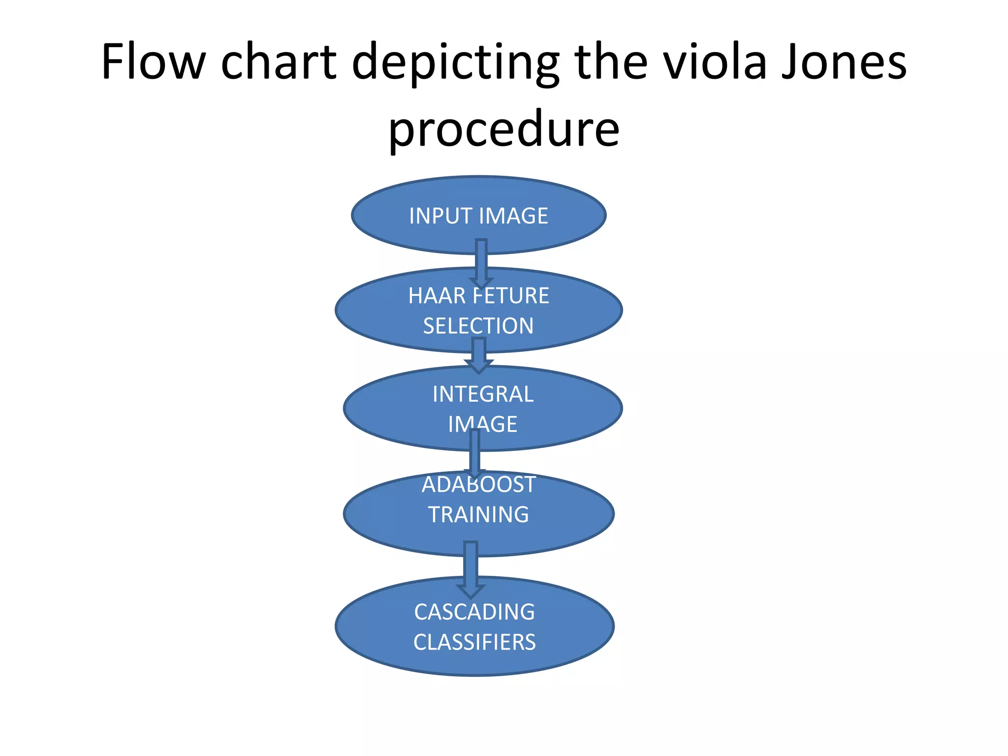 Flow chart depicting the viola Jones procedure INPUT IMAGE HAAR FETURE SELECTION INTEGRAL IMAGE ADABOOST TRAINING CASCADING CLASSIFIERS 