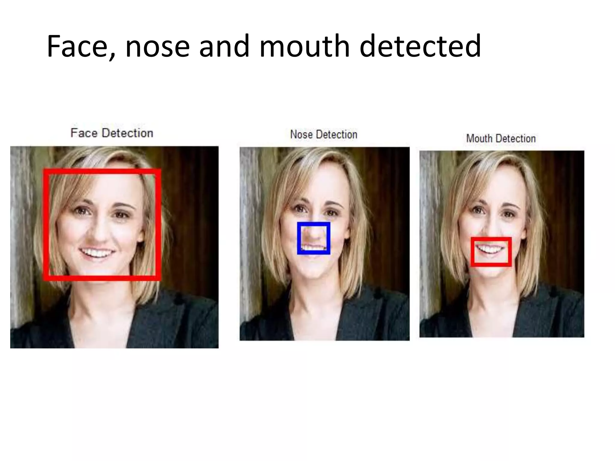 Face, nose and mouth detected 