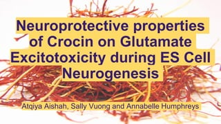 Neuroprotective properties
of Crocin on Glutamate
Excitotoxicity during ES Cell
Neurogenesis
Atqiya Aishah, Sally Vuong and Annabelle Humphreys
 