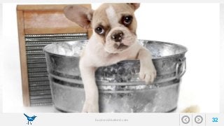 businessbluebird.com 32 
 