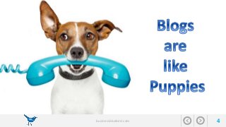 businessbluebird.com 4 
 